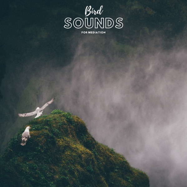 Bird Sounds For Meditation - EP