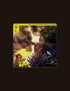 收听 Aidin Hafezamini、观看音乐视频、阅读小传、查看巡演日期等 ！