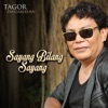 Sayang Bilang Sayang - Single