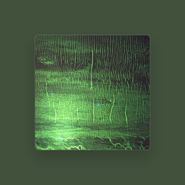 Donato Dozzy's avatar