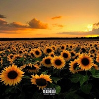 Song of Four Seasons - Single - Mixed Miyagi