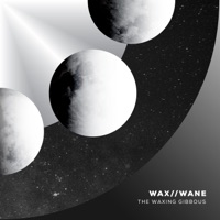 What Do We Do Now? - Single - Wax//Wane