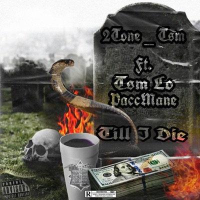 Till I Die (feat. Tsm Lo & Paccmane) - Single
