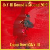 SKY-HI Round A Ground 2019 ~Count Down SKY-HI~(Live at TOYOSU PIT 2019.12.11) artwork