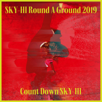 SKY-HI - SKY-HI Round A Ground 2019 ~Count Down SKY-HI~(Live at TOYOSU PIT 2019.12.11) artwork