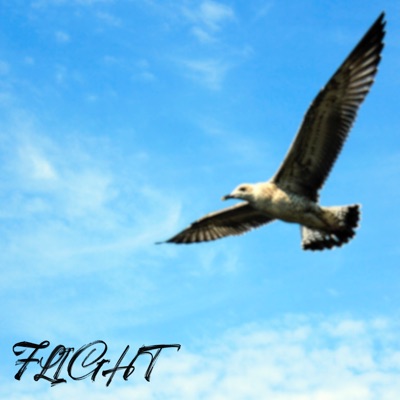 Flight (feat. YOLOHOOD) - Single