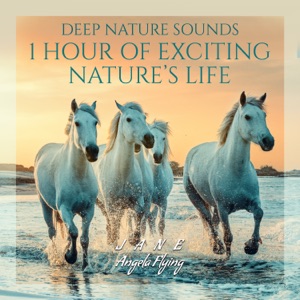 Deep Nature Sounds: 1 Hour of Exciting Nature’s Life, My Nighttime, Ambient Harmony Sounds, Beautiful Dreamer Time, Gentle Sleep Nature (Birds, Rain, Wind & Water Sounds)