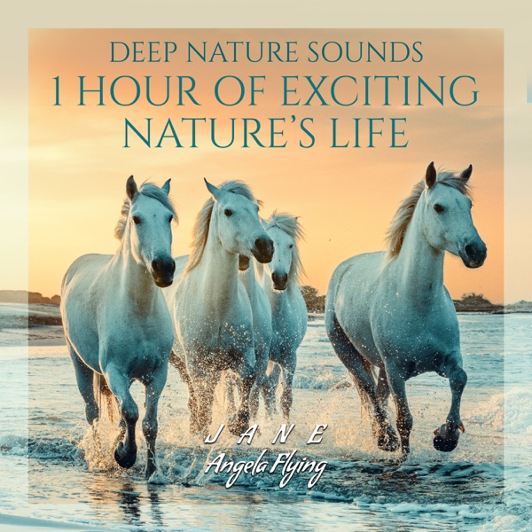 Deep Nature Sounds: 1 Hour of Exciting Nature’s Life, My Nighttime, Ambient Harmony Sounds, Beautiful Dreamer Time, Gentle Sleep Nature (Birds, Rain, Wind & Water Sounds)