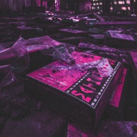 Destruccion de Medios - Single - Proxer