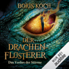 Das Verlies der Stürme: Die Drachenflüsterer-Saga 3 - Boris Koch