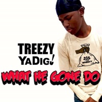 What He Gone Do - Single - Treezy YA DIG