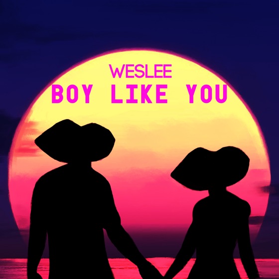 Cover artwork for Boy Like You