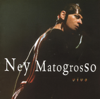 Sangue Latino - Ney Matogrosso