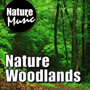Nature Woodlands (Nature Sound With Music)