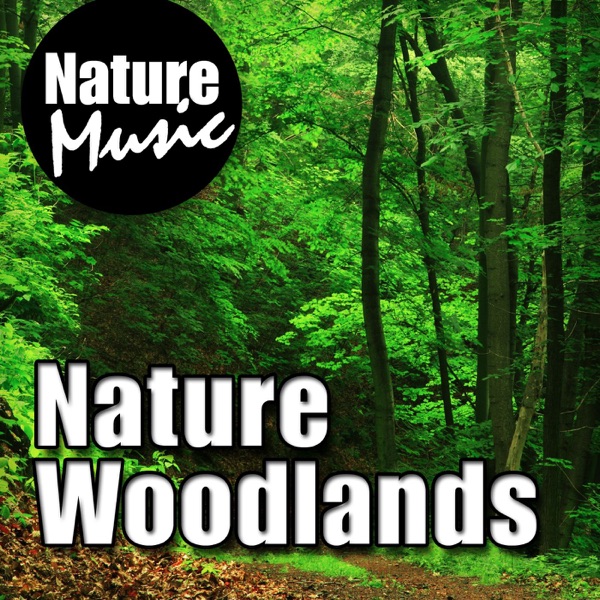 Nature Woodlands (Nature Sound With Music)