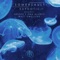 Disphotic (Dan Baartz Remix) - Somersault lyrics