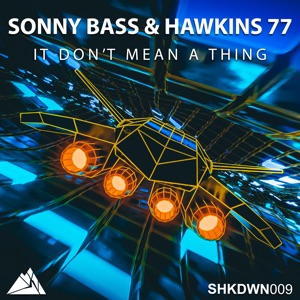 It Don't Mean a Thing - Single