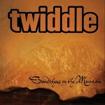 Twiddle - When It Rains It Poors