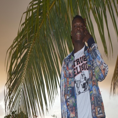 The Intr0ducti0n - EP