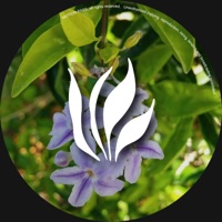 Stay Up EP - Karl Reyes & Enmanuel Dipuglia (DO)