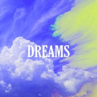 Dreams (feat. LudloBeats & Blu3Winter) - Single - Malik Franklin