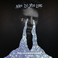 Who Do You Love-The Chainsmokers & 5 Seconds of Summer