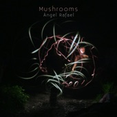 Angel Rafael - Mushrooms