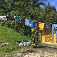 Meet Me in Mexico - Single - The Drums