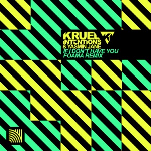 If I Don't Have You (FOAMA Remixes) - Single