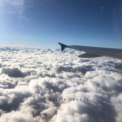 Let It Fly