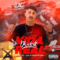 Vida Real (feat. DJ Ferrujo da Serra) - Single - DK da Leste