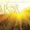Worship Ensemble - Your Grace Is Enough