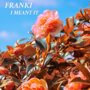 I Meant It - Single