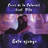 Gata Ajunge (feat. Rita) - Single