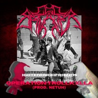 Igotenoughfriends (Operation: Tr0llkilla) - Single - EGOBREAKER
