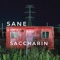 Sane and Saccharin - Communist Daughter lyrics