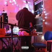 The Ozarks - Single - Rip Wok