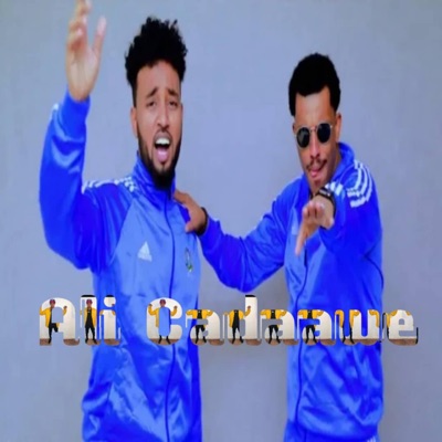 Ali cadaawe - ilkacase galmudug Ali cadaawe