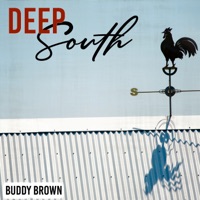 Buddy Brown - Stop When You See a Uniform