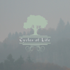 Cycles of Life (Live) - Estas Tonne