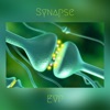 Synapse