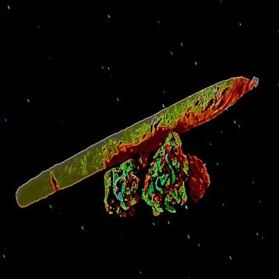 High Asa Kyte - Single