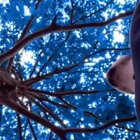 Don't Hit My Phone - Single - Finny