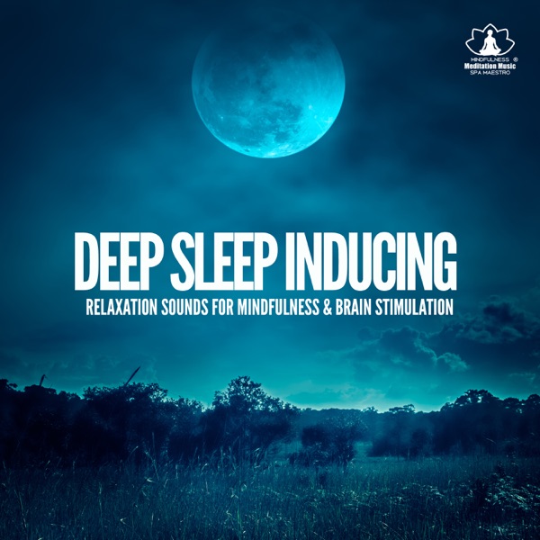 Deep Sleep Inducing: Relaxation Sounds for Mindfulness & Brain Stimulation, Reiki Koyasan