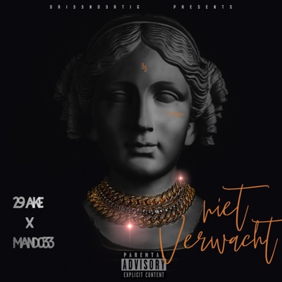 Niet Verwacht (feat. 29ake) - Single