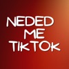 Eduardo Luzquiños - Needed Me Tiktok