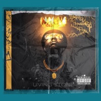 Intro - Single - Living $tone