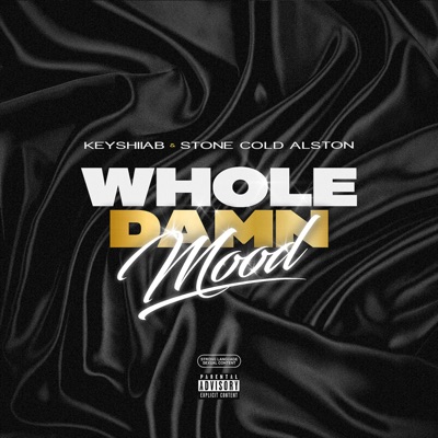 Whole Damn Mood (feat. Keyshiia B) - Single