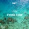 Livin' (feat. Young Chop) - SNY lyrics