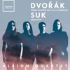 Albion Quartet - String Quartet No. 5 in F Major, Op. 92: II. Andante con moto quasi allegretto